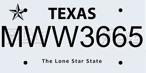 MWW3665 Texas License Plate