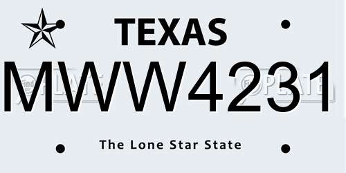 MWW4231 Texas License Plate