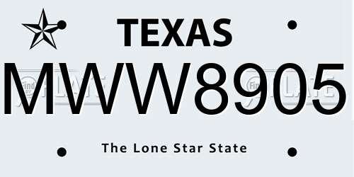 MWW8905 Texas License Plate