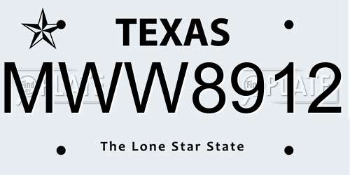 MWW8912 Texas License Plate