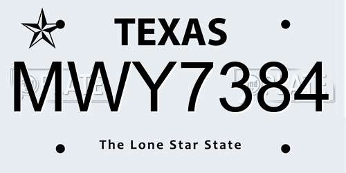 MWY7384 Texas License Plate