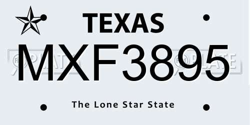 MXF3895 Texas License Plate