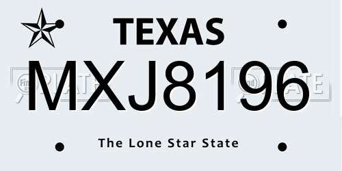 MXJ8196 Texas License Plate