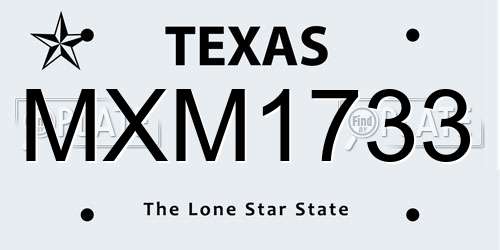 MXM1733 Texas License Plate