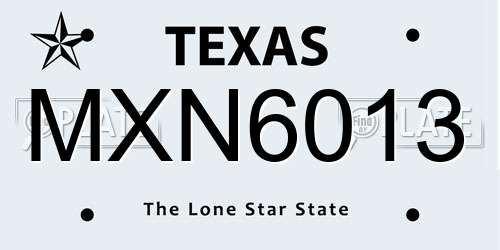 MXN6013 Texas License Plate