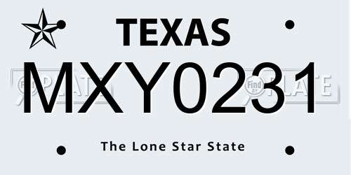 MXY0231 Texas License Plate