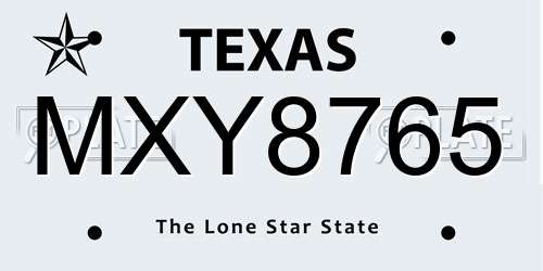MXY8765 Texas License Plate