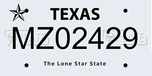 MZ02429 Texas License Plate