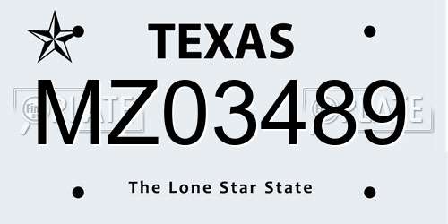 MZ03489 Texas License Plate