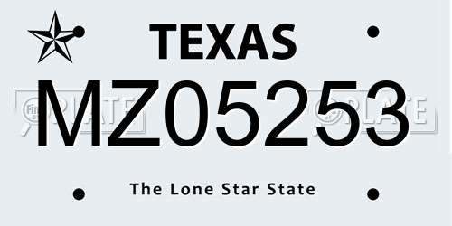MZ05253 Texas License Plate