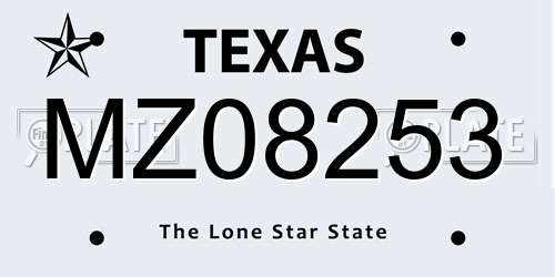 MZ08253 Texas License Plate