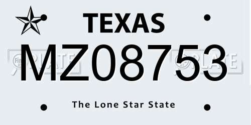 MZ08753 Texas License Plate