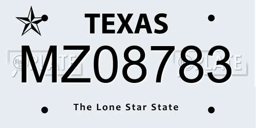 MZ08783 Texas License Plate