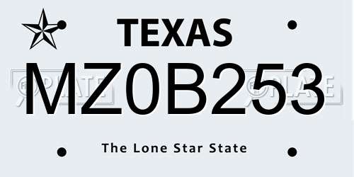 MZ0B253 Texas License Plate