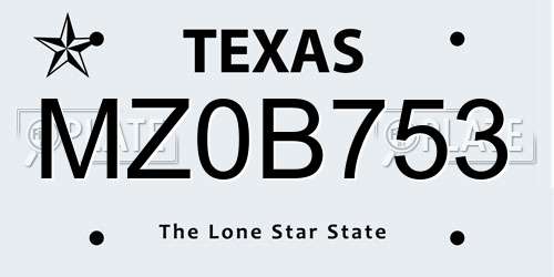MZ0B753 Texas License Plate