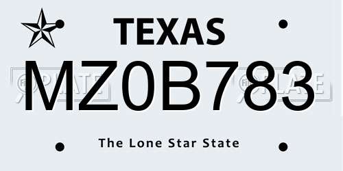 MZ0B783 Texas License Plate
