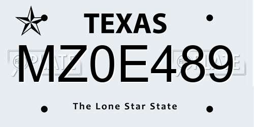 MZ0E489 Texas License Plate