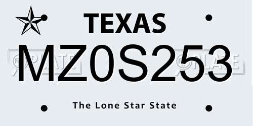MZ0S253 Texas License Plate
