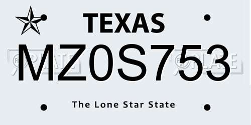 MZ0S753 Texas License Plate