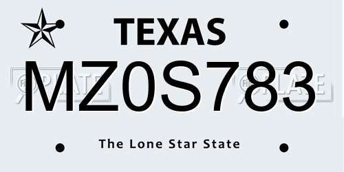 MZ0S783 Texas License Plate