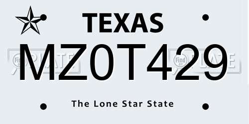 MZ0T429 Texas License Plate