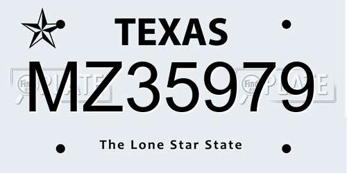 MZ35979 Texas License Plate
