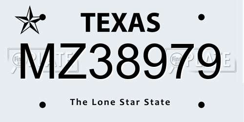 MZ38979 Texas License Plate
