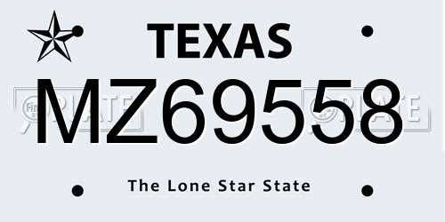MZ69558 Texas License Plate