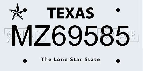 MZ69585 Texas License Plate