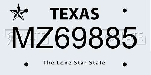 MZ69885 Texas License Plate