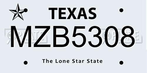 MZB5308 Texas License Plate