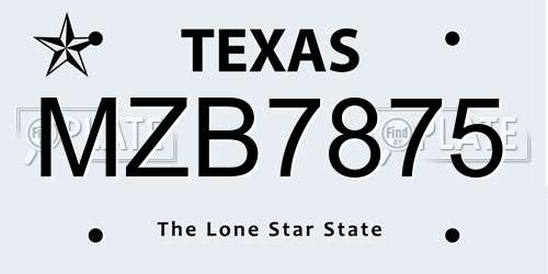 MZB7875 Texas License Plate