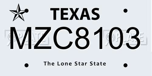 MZC8103 Texas License Plate