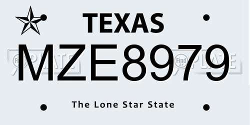 MZE8979 Texas License Plate