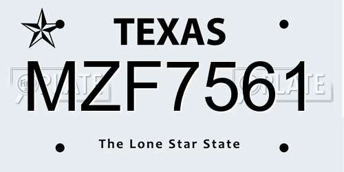 MZF7561 Texas License Plate