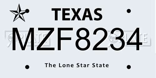 MZF8234 Texas License Plate