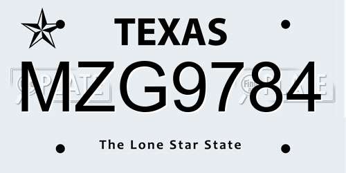 MZG9784 Texas License Plate