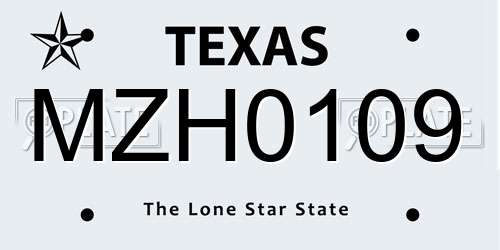MZH0109 Texas License Plate