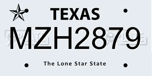 MZH2879 Texas License Plate