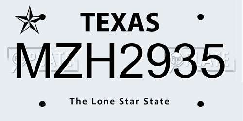MZH2935 Texas License Plate