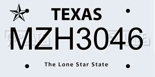 MZH3046 Texas License Plate