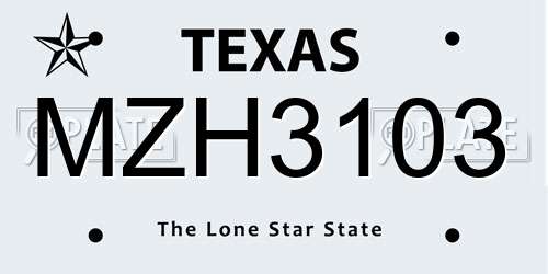 MZH3103 Texas License Plate
