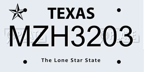 MZH3203 Texas License Plate