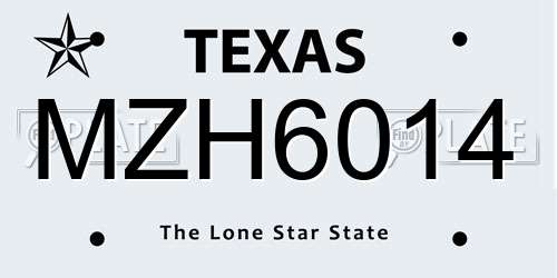 MZH6014 Texas License Plate