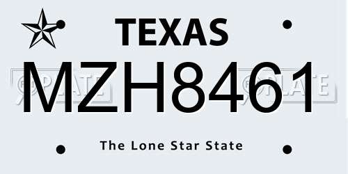 MZH8461 Texas License Plate