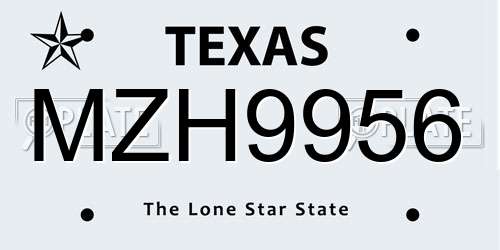 MZH9956 Texas License Plate