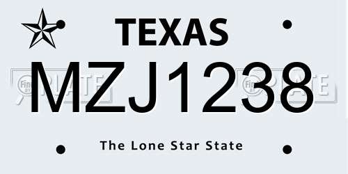 MZJ1238 Texas License Plate