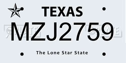 MZJ2759 Texas License Plate