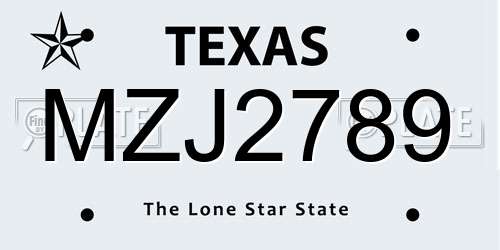 MZJ2789 Texas License Plate