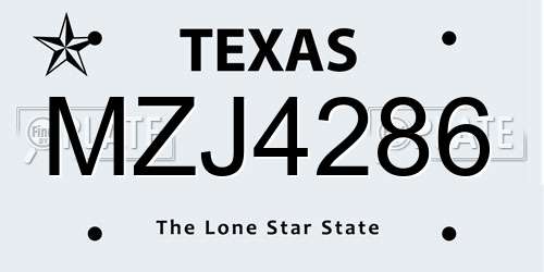 MZJ4286 Texas License Plate